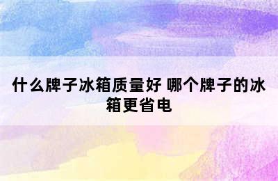 什么牌子冰箱质量好 哪个牌子的冰箱更省电